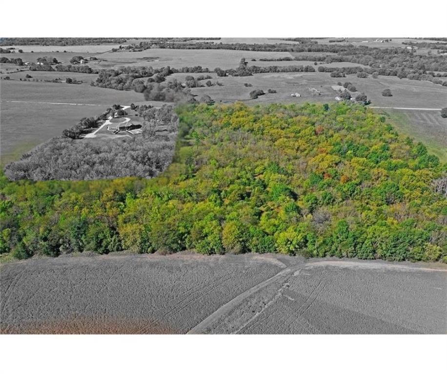 Listing Photo MLS #HMS2631629