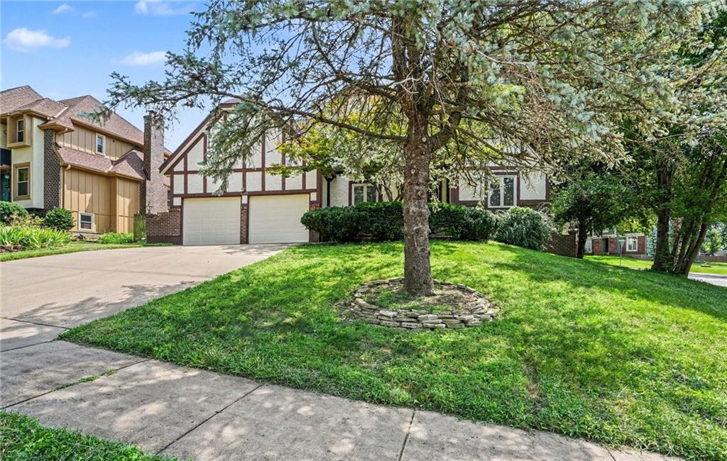 Listing Photo MLS #HMS2636370
