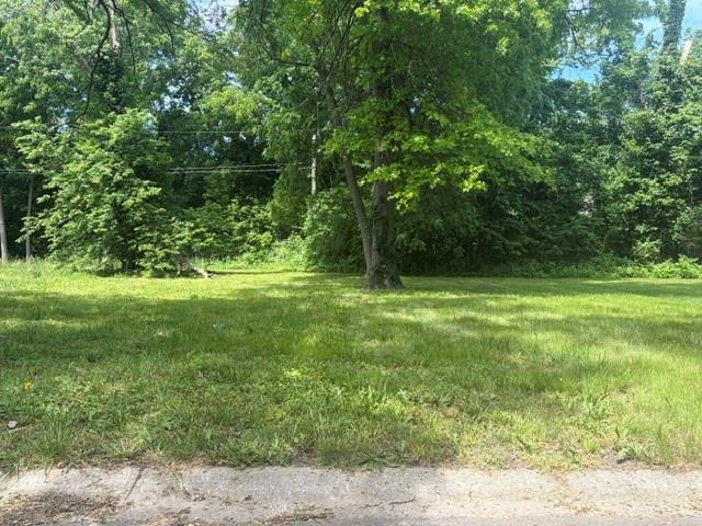 Listing Photo MLS #HMS2636764