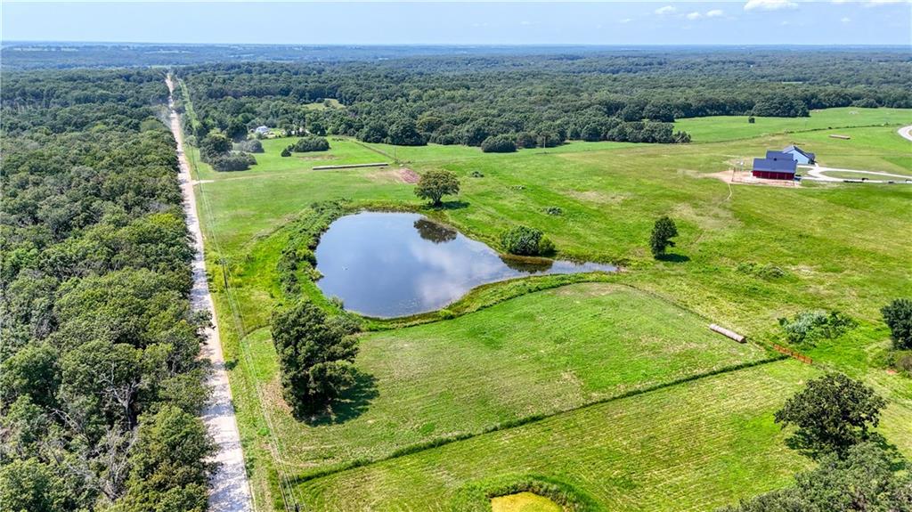 Listing Photo MLS #HMS2638793