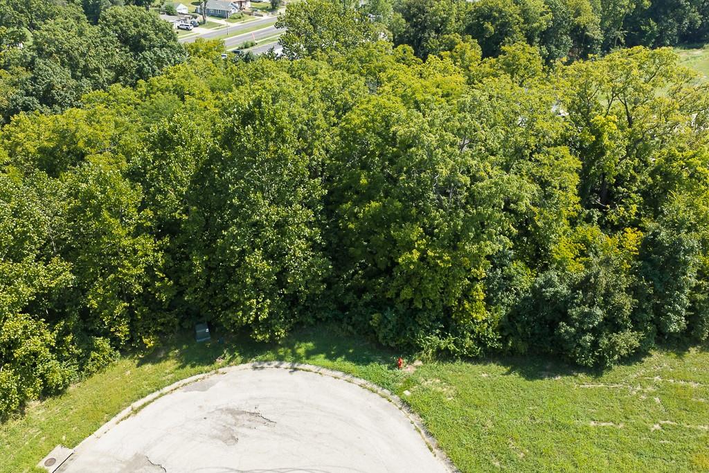 Listing Photo MLS #HMS2639380