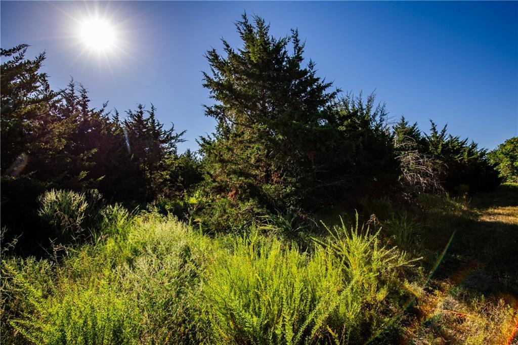 Listing Photo MLS #HMS2640176