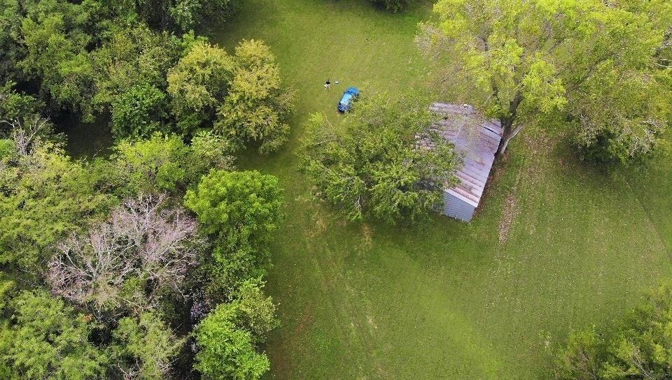 Listing Photo MLS #HMS2642671