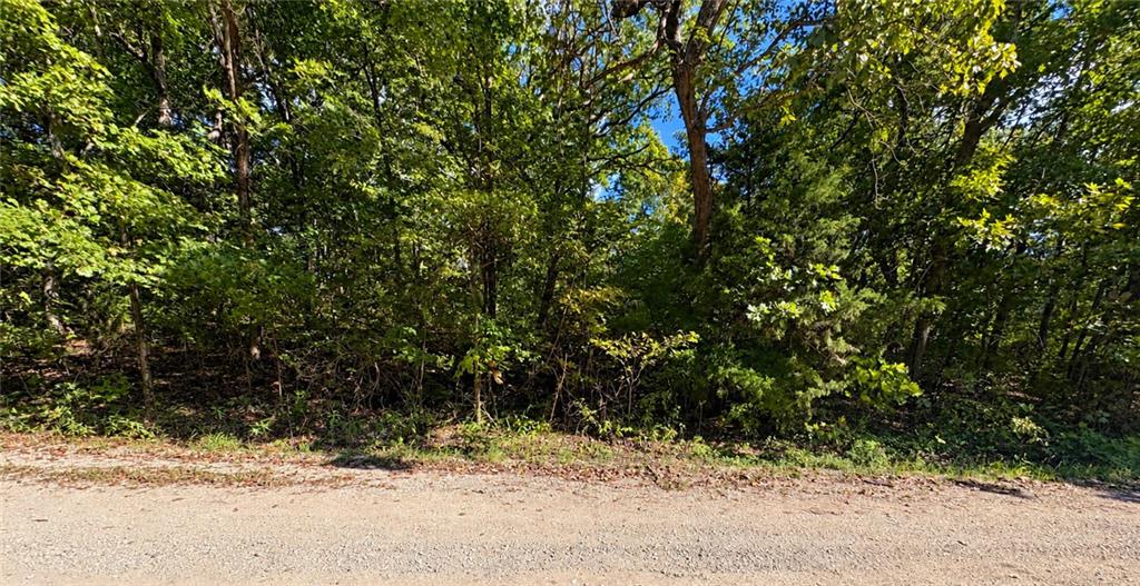 Listing Photo MLS #HMS2643462