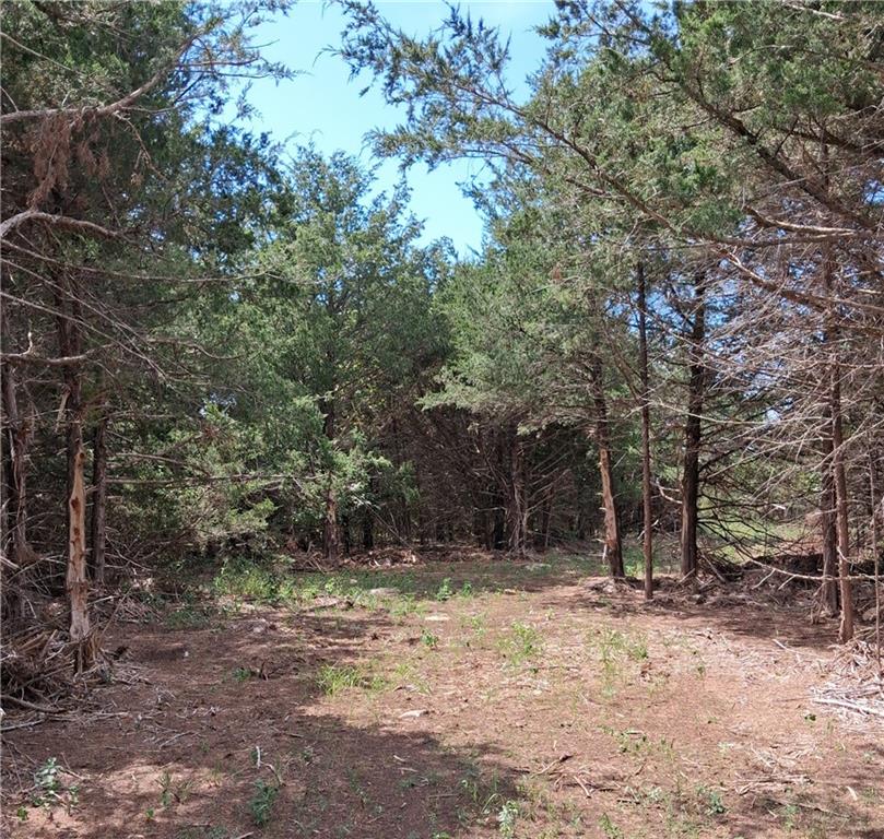 Listing Photo MLS #HMS2644916
