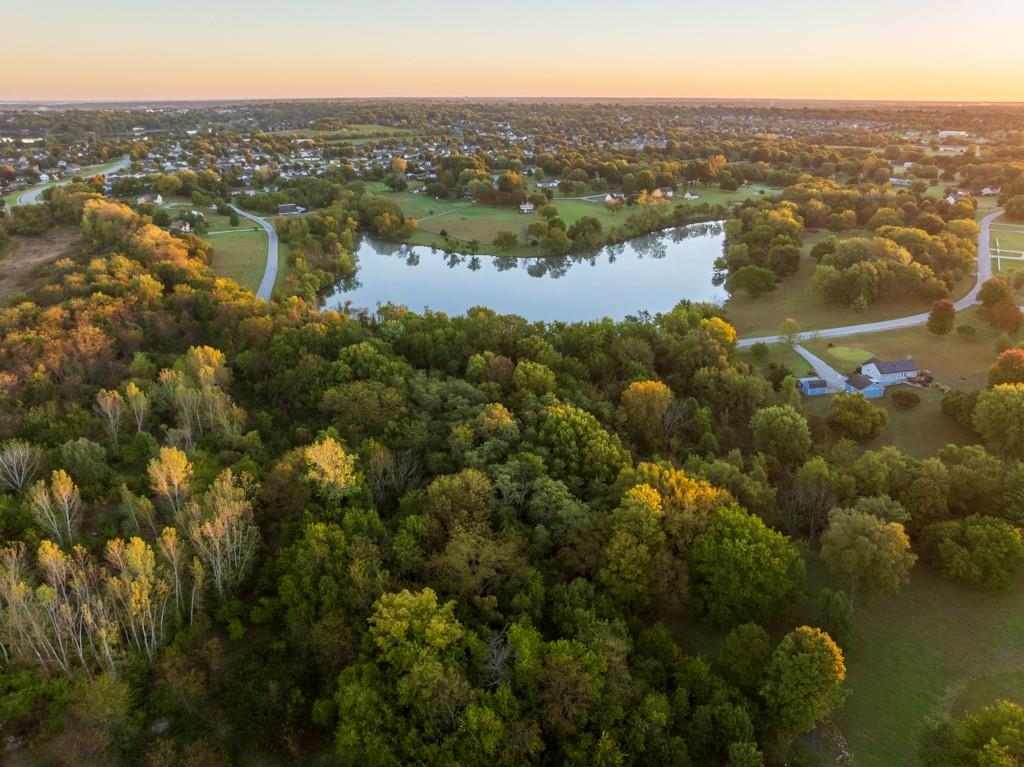 Listing Photo MLS #HMS2646345