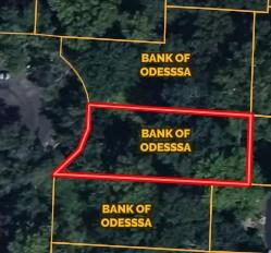 Listing Photo MLS #HMS2648159