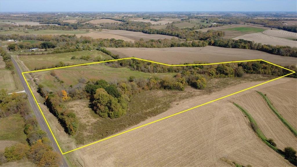 Listing Photo MLS #HMS2648887