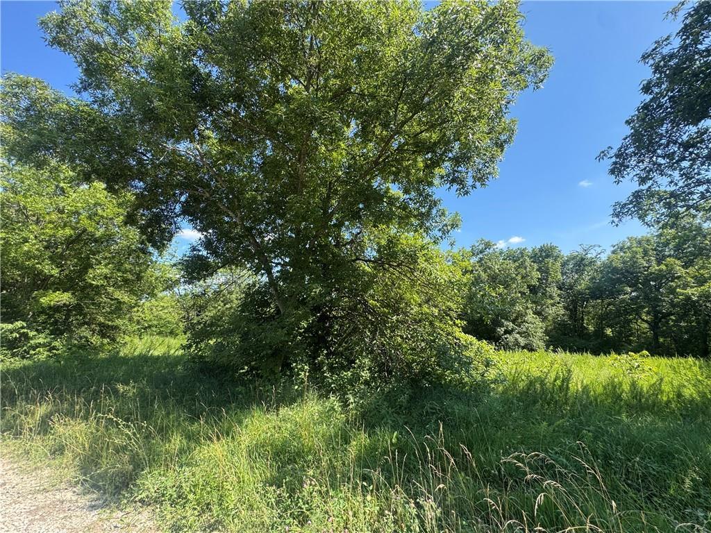 Listing Photo MLS #HMS2649037