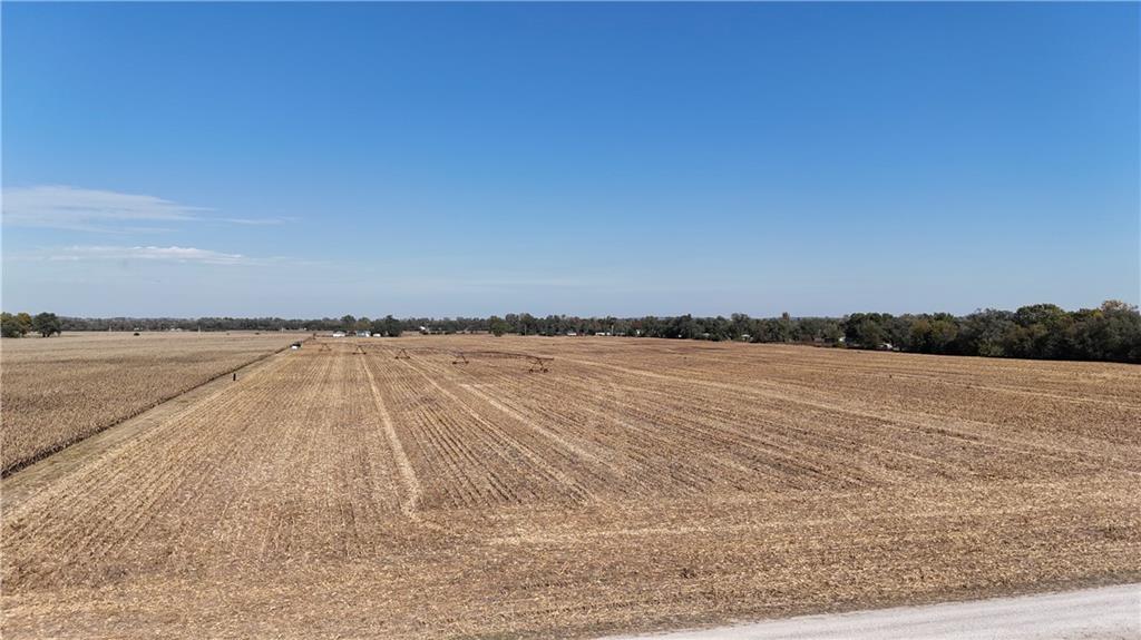 Listing Photo MLS #HMS2649059