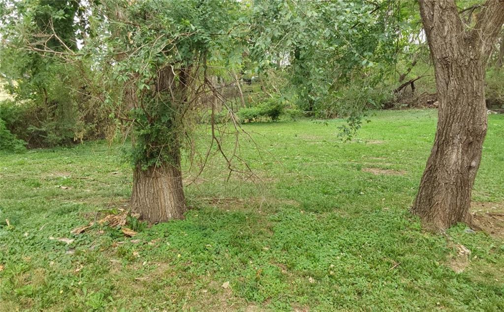 Listing Photo MLS #HMS2649343