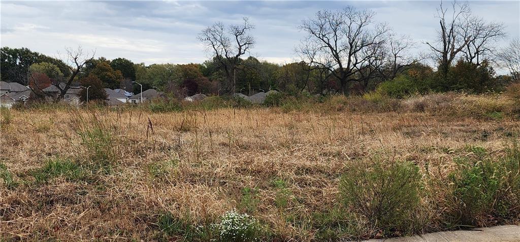 Listing Photo MLS #HMS2649416