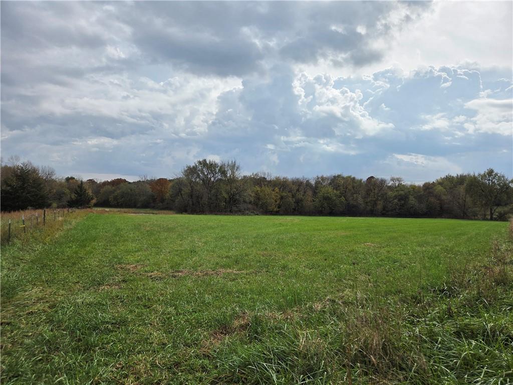Listing Photo MLS #HMS2649684